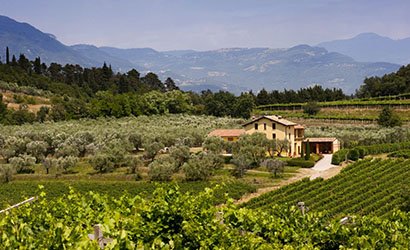 青島楊柳青青商貿有限公司